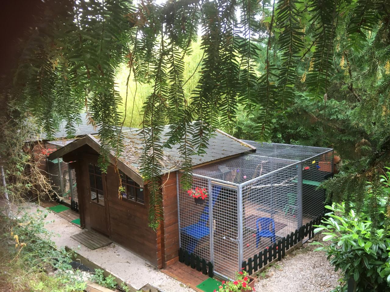 Un accueil haut de gamme dans des chalets nichés en plein verdure...