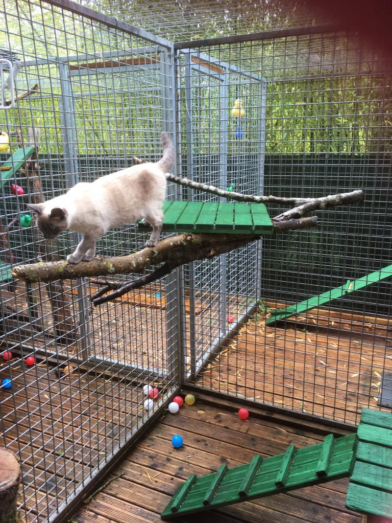 L'acrobate....