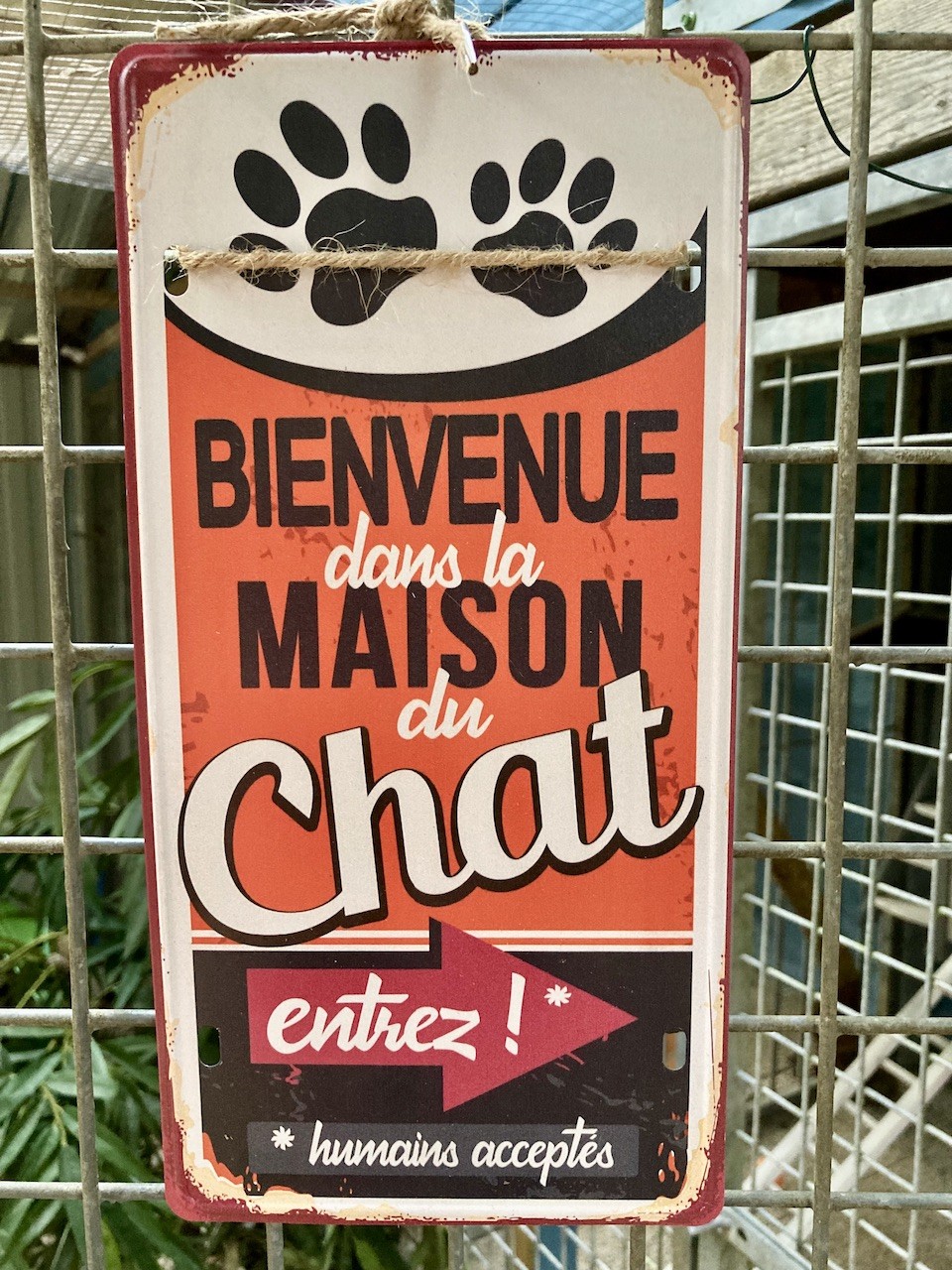 LE DOMAINE DES CHATS