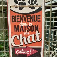 LE DOMAINE DES CHATS