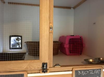 chat pension féline val de vergy proche dijon